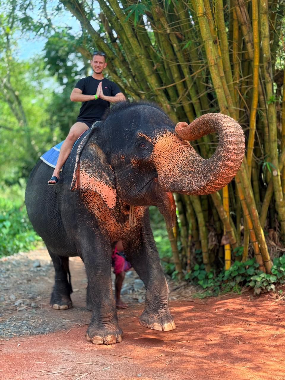 Pinnawala Elephant Orphanage