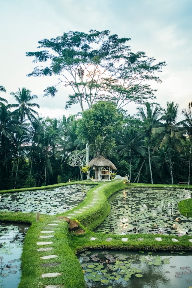Sri Lankan Home Stay Experience